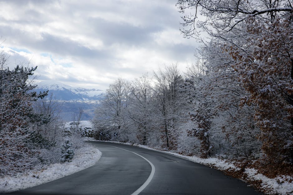 Best Winter Tires for Performance Cars in 2026