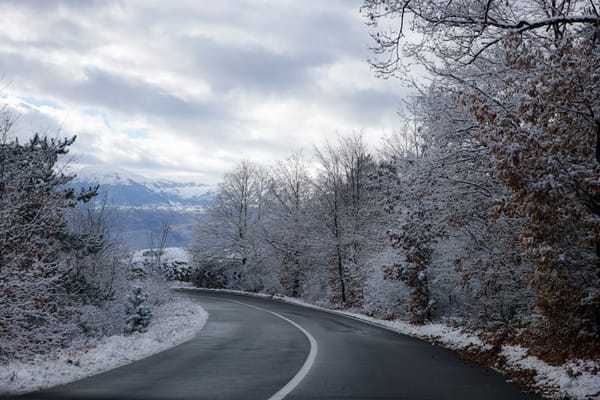 Best Winter Tires for Performance Cars in 2026